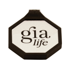 Gia Pendant Lite